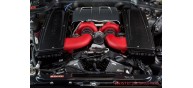 Weistec Carbon Fiber G550 Airboxes, M176